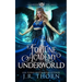 Fortune Academy Underworld: Book Six