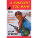 A Gunfight Too Many