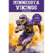 Minnesota Vikings Fun Facts