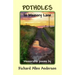 Potholes in Memory Lane