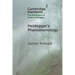 Heidegger's Phenomenology