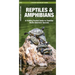 Reptiles & Amphibians: An Introduction to Familiar North American Species