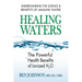 Healing Waters: The Powerful Health Benefits of Ionized H2O