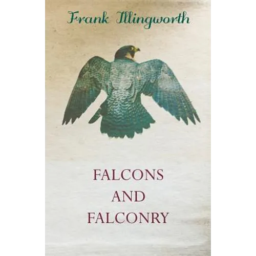 Falcons and Falconry