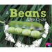 A Bean's Life Cycle