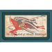 The Ledgerbook of Thomas Blue Eagle