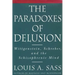 The Paradoxes of Delusion