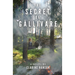 The Secret of Gällivare