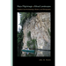 Maya Pilgrimage to Ritual Landscapes: Insights from Archaeology, History, and Ethnography
