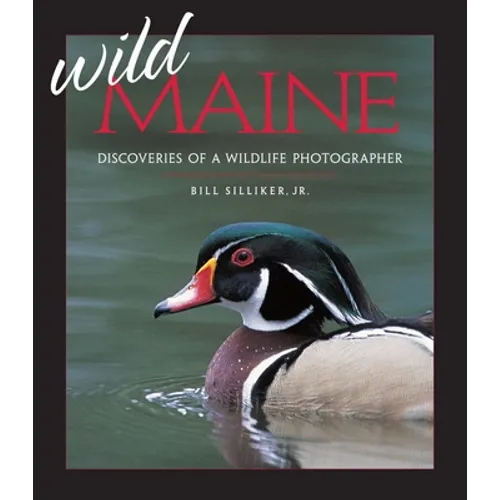 Wild Maine: Discoveries of a Wildlife Photographer