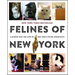Felines of New York: A Glimpse Into the Lives of New York's Feline Inhabitants