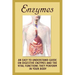 Enzymes: An Easy To Understand Guide On Digestive Enzymes And The Vital Functions They Perform In Your Body