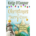 Christmas in Berry Cove