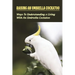 Raising An Umbrella Cockatoo: Ways To Understanding & Living With An Umbrella Cockatoo: What Is The Lifespan Of An Umbrella Cockatoo
