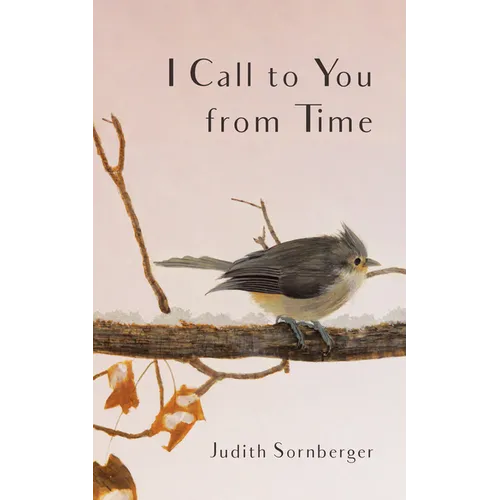 I Call to You from Time