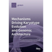 Mechanisms Driving Karyotype Evolution and Genomic Architecture