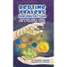 Bedtime Prayers for Protection: Praying God's Word for a Peaceful Sleep