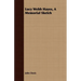 Lucy Webb Hayes, A Memorial Sketch
