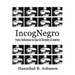 IncogNegro: Poetic Reflections of Race & Diversity in America