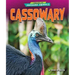 Cassowary