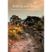 Walking with Stones: A Spiritual Odyssey on the Pilgrimage to Santiago