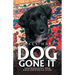 Dog Gone It: From Trauma to Tail-Wags, Seeing God in the Day-To-Day