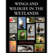Wings and Wildlife in the Wetlands