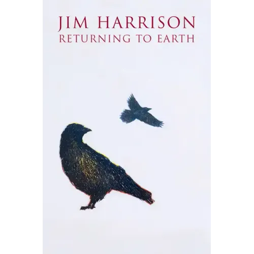 Returning to Earth