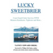 Lucky Sweetbrier: Coast Guard Cutter Survives WWII Okinawa Kamikazes, Typhoons and More...