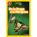 National Geographic Readers: de la Oruga a la Mariposa (Caterpillar to Butterfly)