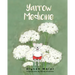 Yarrow Medicine