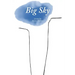 Big Sky: Poems by Anam Thubten