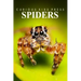 Spiders - Curious Kids Press: Kids book about animals and wildlife, Children's books 4-6