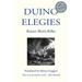 Duino Elegies