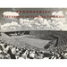 Remembering University of Florida Football