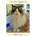 Ollie The Ragdoll Cat: A Book for Cat Lovers of All Ages