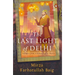 The Last Light in Delhi