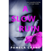 A Slow Ruin: A psychological thriller