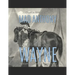 Mad Anthony Wayne: The Life and Legacy of the Famous Revolutionary War General