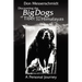 Big Dogs of Tibet and the Himalayas