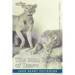 The Man Eaters of Tsavo and Other East African Adventures