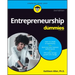 Entrepreneurship for Dummies