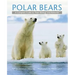 Polar Bears: A Complete Guide to Their Biology and Behavior