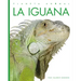 La Iguana