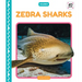 Zebra Sharks
