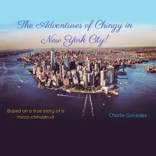 The Adventures of Chingy in New York City!