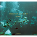 What Did the Deep Sea Say