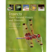 Insects: Their Natural History and Diversity: With a Photographic Guide to Insects of Eastern North America