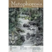 Metaphorosis November 2022