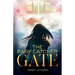 The Baby Catcher Gate